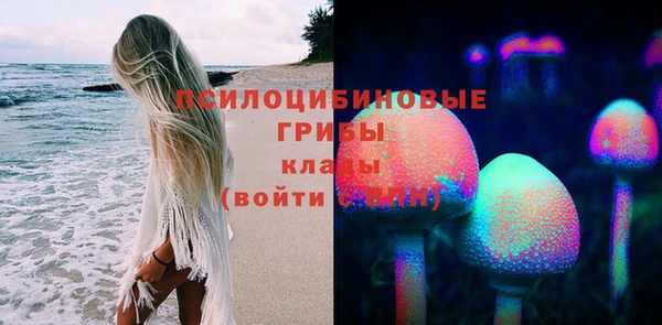 дмт Бронницы