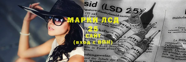 крисы Великий Новгород