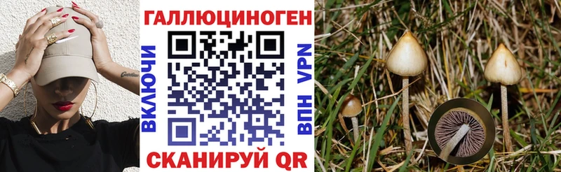 наркотики  Видное  Галлюциногенные грибы мухоморы 